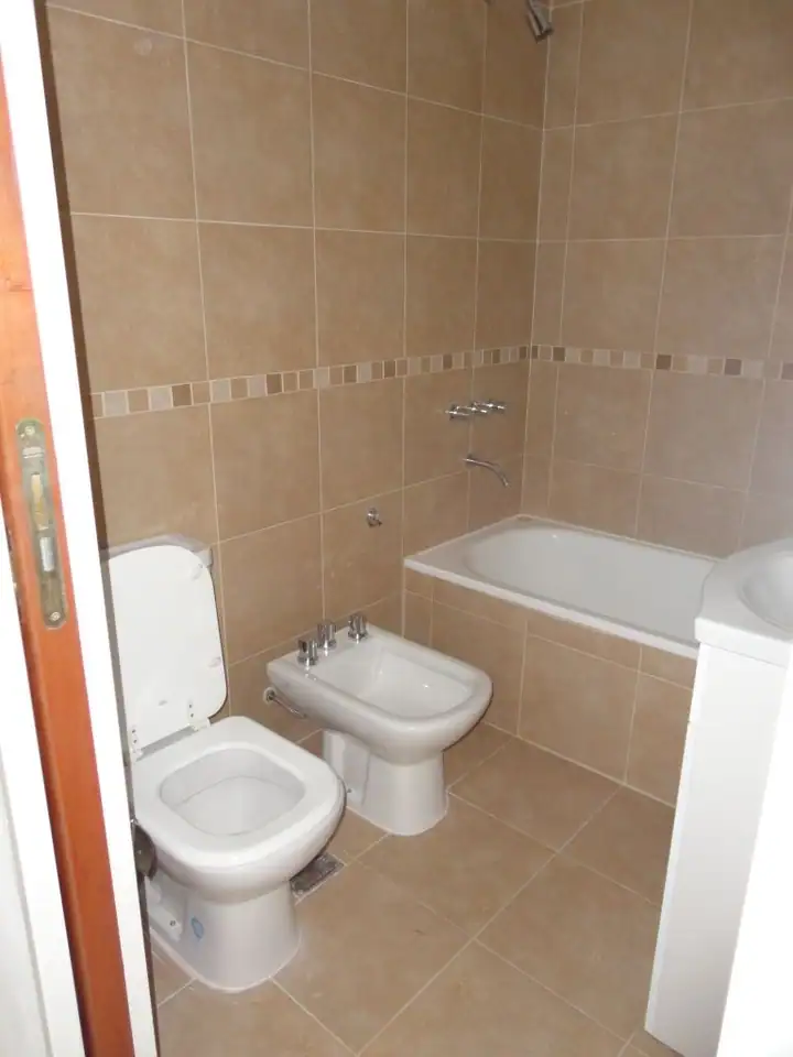 AMEGHINO 260 — foto 2